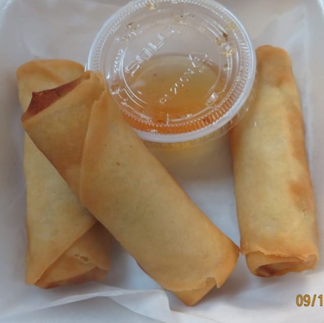 Veggies Spring Rolls (3).